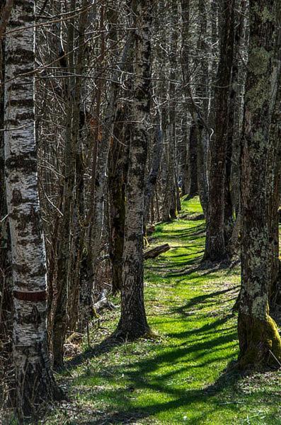 Ostello Landarenca Exteriör bild